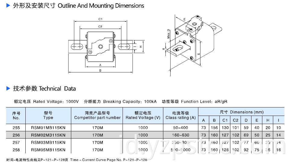 Square semiconductor protection fuse 170M (3)